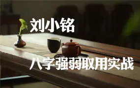 刘小铭网络八字强弱取用实战班视频8集