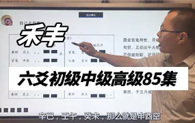 禾丰老师六爻初级中级高级课程视频85集