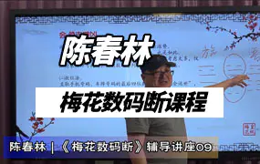 陈春林梅花数码断星火班视频12集皇级梅花