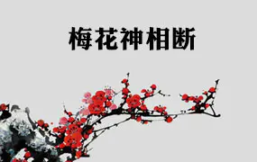 陈春林 梅花神相断 视频8集 百度网盘分享