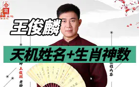 王俊麒 天机姓名与生肖神数视频20集