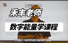 禾丰老师数字能量学课程视频28集（带字幕）