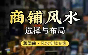 蒋闻鹤商铺风水选择与布局11集视频