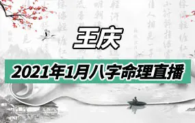 王庆探索门八字命理2021年10月直播（约8.5小时）