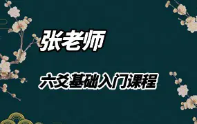 民间六爻实战高手张老师  六爻基础入门课程 视频20集