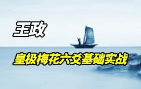 王政皇极梅花六爻基础+实战课 视频28集 百度网盘