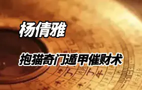 抱猫杨倩雅奇门遁甲催财术 视频12集 百度网盘分享