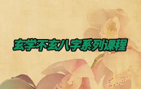 玄学不玄八字系列课程 视频45集 百度网盘分享
