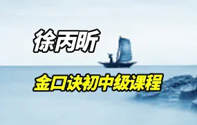 徐丙昕金口诀初中级课程 视频24集 百度网盘分享