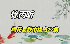 徐丙昕梅花易数中级班课程 视频12集 百度网盘分享