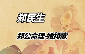 郑民生郑公命理-婚姻专题、婚排歌 视频20集 百度网盘分享