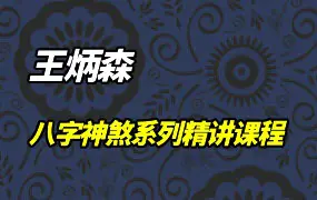 王炳森八字神煞系列精讲课程 视频20集 百度网盘分享