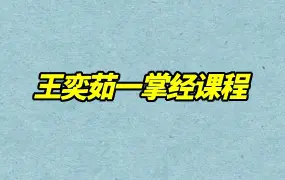 王奕茹一掌经课程 视频8集 百度网盘分享