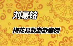 刘易铭梅花易数断卦案例+手机号梅花预测法  视频36集 百度网盘分享