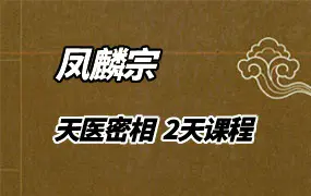 凤麟宗 天医密相 2天课程 视频17集+2集录音+文档 百度网盘分享