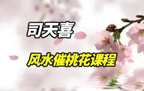 司天喜风水催桃花课程 视频7集  百度网盘分享
