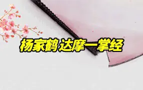 杨家鹤 达摩一掌经(新)视频21集 百度网盘分享