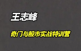 王志峰 奇门遁甲与股市实战线上特训营 视频5集 百度网盘分享