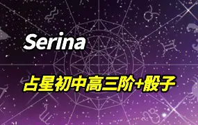 Serina占星初阶+中阶+高阶+占星骰子 视频107集 百度网盘分享
