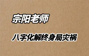 宗阳老师弟子内训 八字化解终身局灾祸 视频8集 百度网盘分享