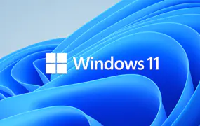 Windows 10/11  Online Active