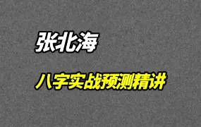 张北海《八字实战预测精讲》视频15集 百度网盘分享