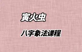 萤火虫 八字象法课程 视频20集 百度网盘分享
