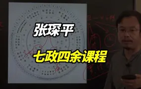 张琛平 七政四余(果老星宗)课程 视频7集 百度网盘分享