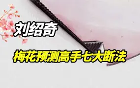刘绍奇 速成梅花预测高手七大断法 视频8集