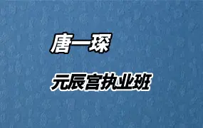 唐一琛 元辰宫执业班课程 视频10集 百度网盘分享
