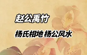 赵公禹竹•杨氏相地 杨公风水课程 视频48集 百度网盘分享