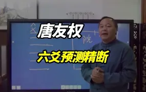 唐友权大唐行易 六爻预测精断新版 视频33集 百度网盘分享