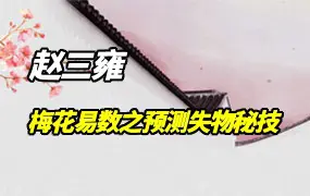 梅花易数课程之预测失物秘技 视频7集 百度网盘分享