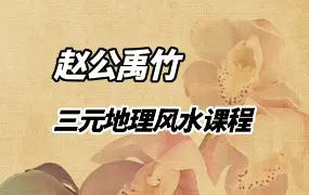 赵公禹竹·三元地理风水课程 视频45集 百度网盘分享