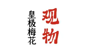 陈春林～观物｜皇极梅花精品课程 视频共12集 百度网盘分享
