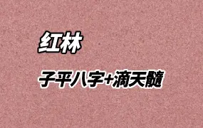 红林老师 滴天髓+子平八字  视频33集 百度网盘分享