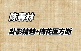 陈春林 《卦影精魅》+《 梅花医方断 》 PDF电子版 百度网盘分享