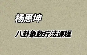 杨思坤 八卦象数疗法课程 视频18集 百度网盘分享