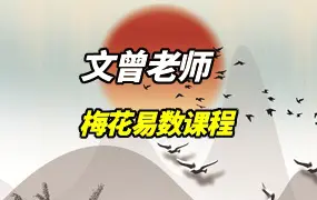 文曾老师 梅花易数课程 视频31集(带字幕) 百度网盘分享