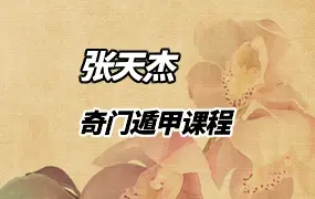 张天杰 奇门遁甲课程 视频11集 奇门必学 百度网盘分享