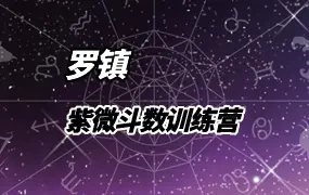 罗镇 紫微斗数训练营 视频65集(带字幕) 百度网盘分享