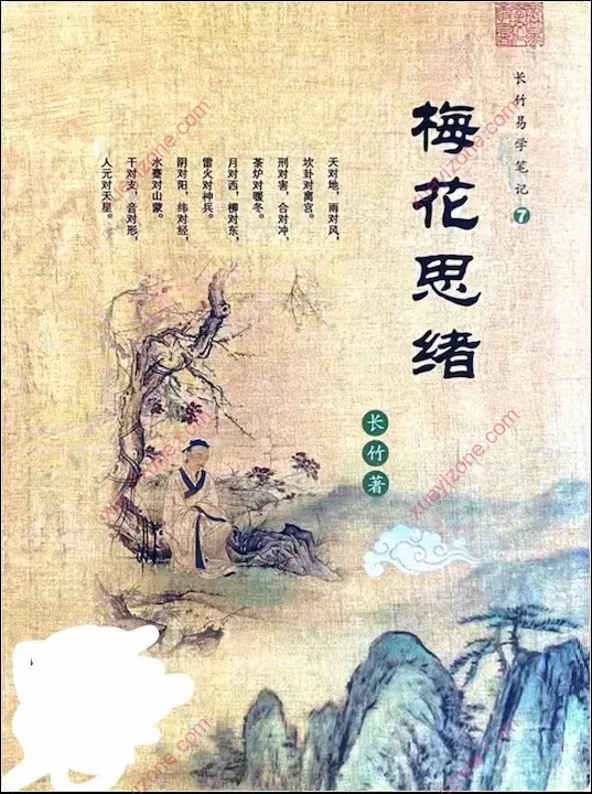 长竹 梅花思绪