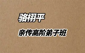 骆栩平 老师亲传高阶弟子班 视频48集(带字幕) 百度网盘分享