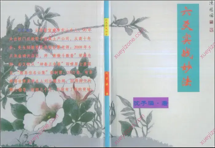 六爻实战妙法 封面