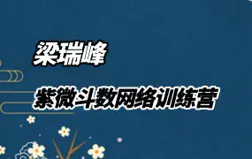 梁瑞峰 紫微斗数网络训练营 视频214集 百度网盘分享