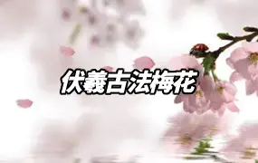 伏羲古法梅花 24集视频 百度网盘分享