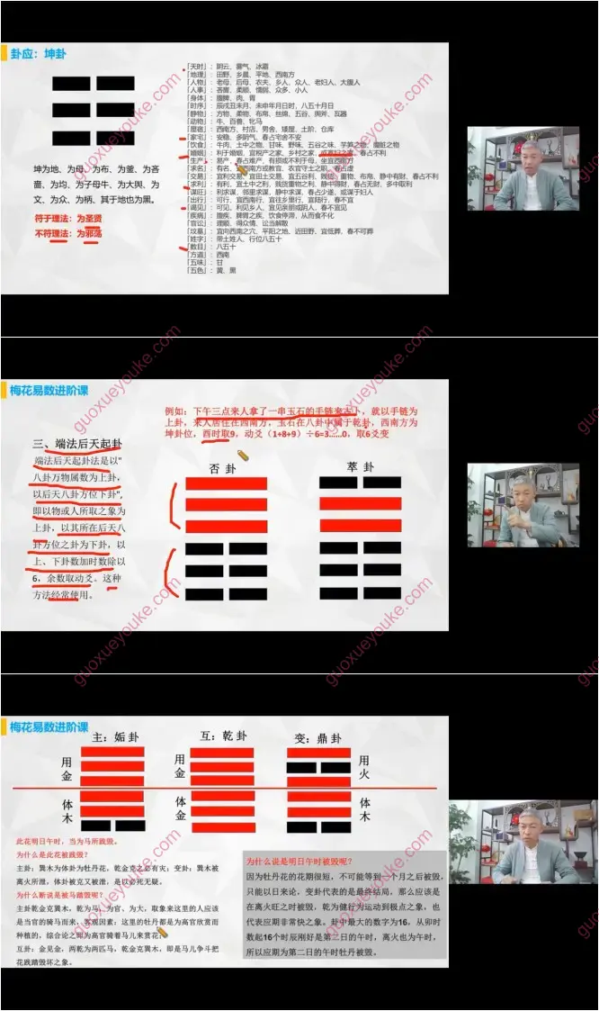 刘全统 梅花易数高阶占解术