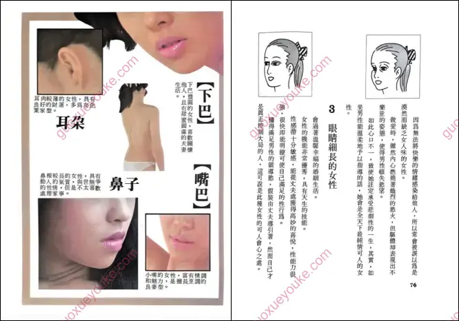 女体相术
