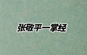 张敬平一掌经 视频12集 百度网盘分享