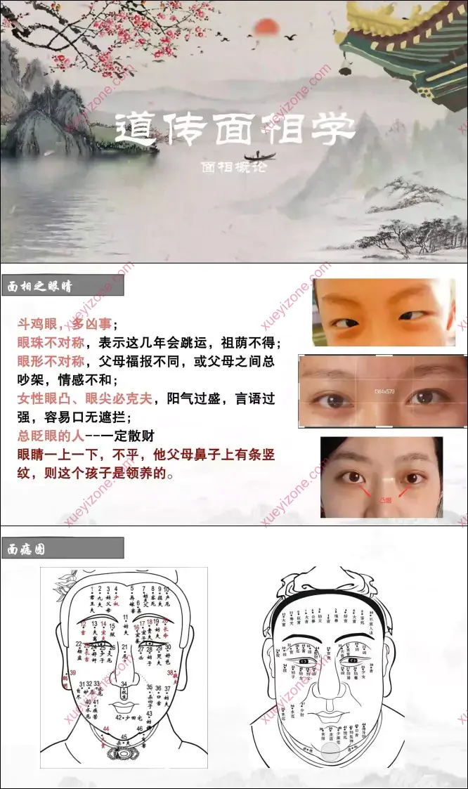 持敏 道传面相学